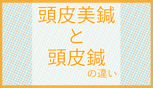 頭皮美鍼と頭皮鍼の違い