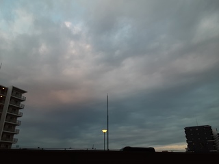 20220128_065353.jpg