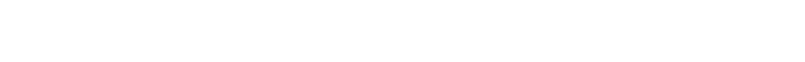 Kaizen Institute legal disclaimer