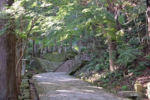 登り始めます