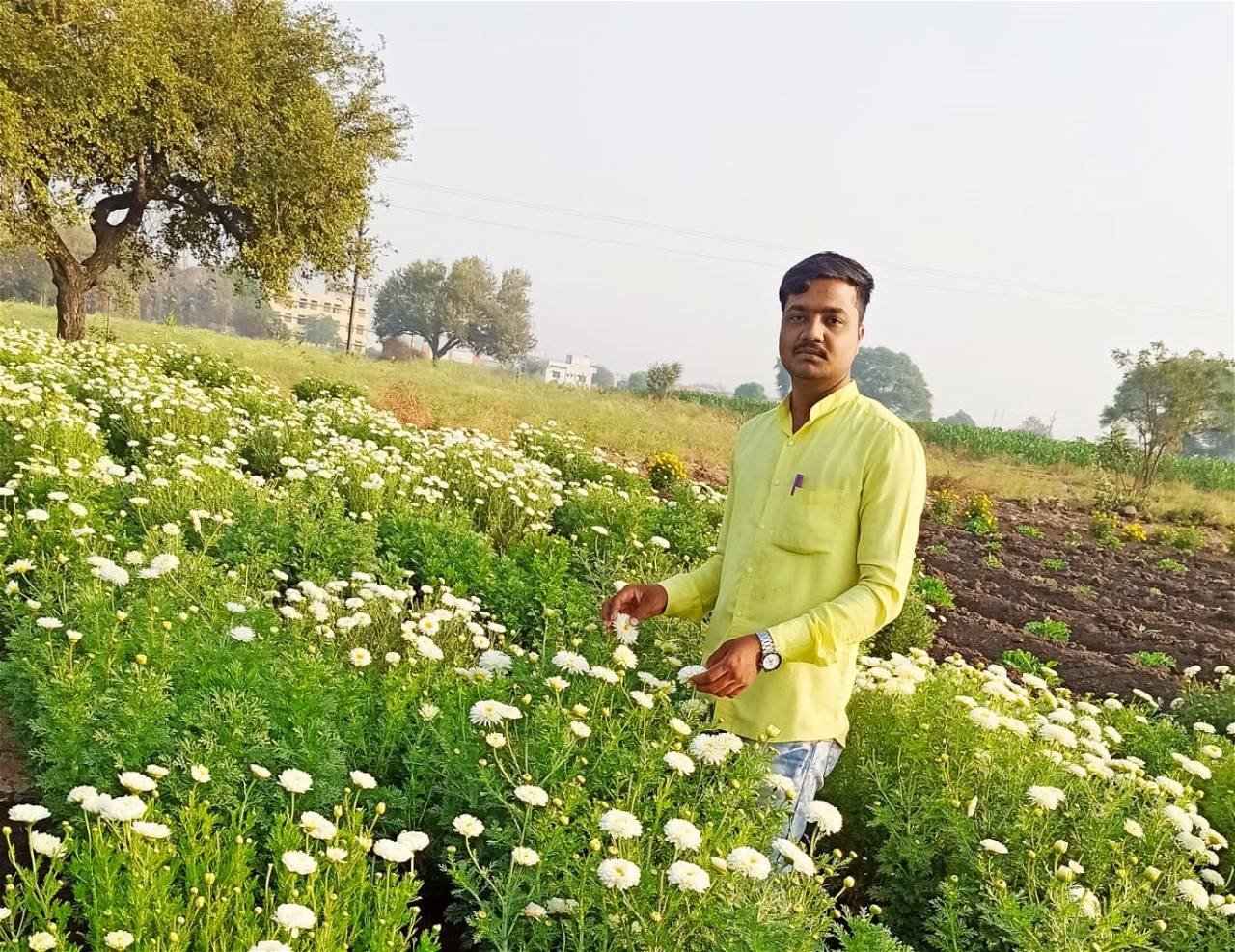 Vishal Male's Journey to Prosperity with Flower, Guava, and Mango Farming