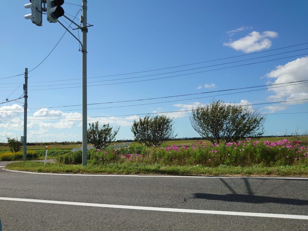 やさしい道の駅たがみ