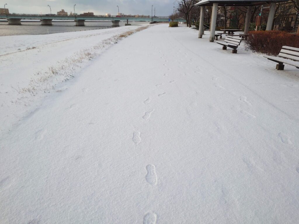 雪の新潟市