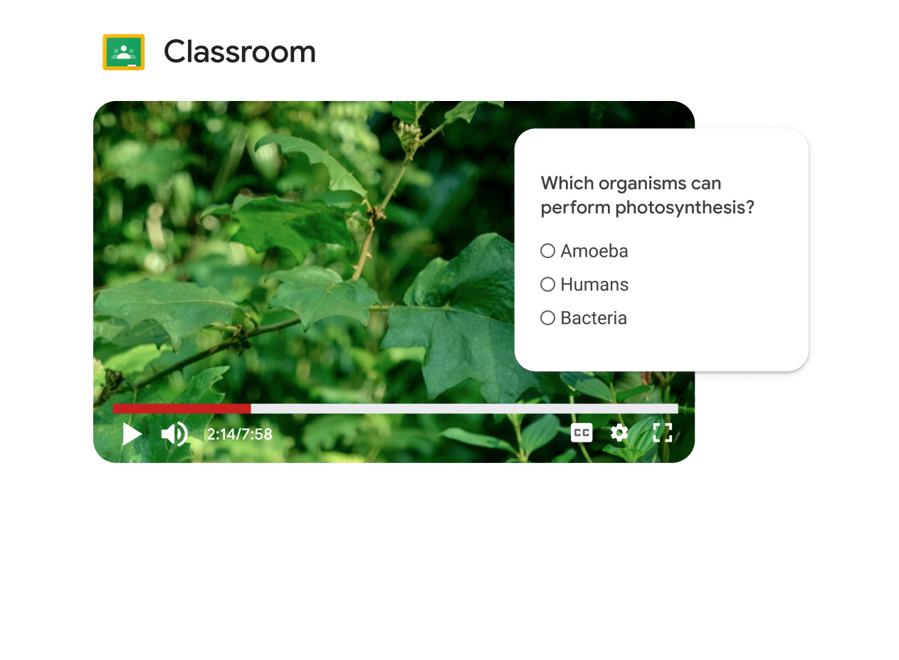 A light green square module for Google Classrom with an image of lush foliage.