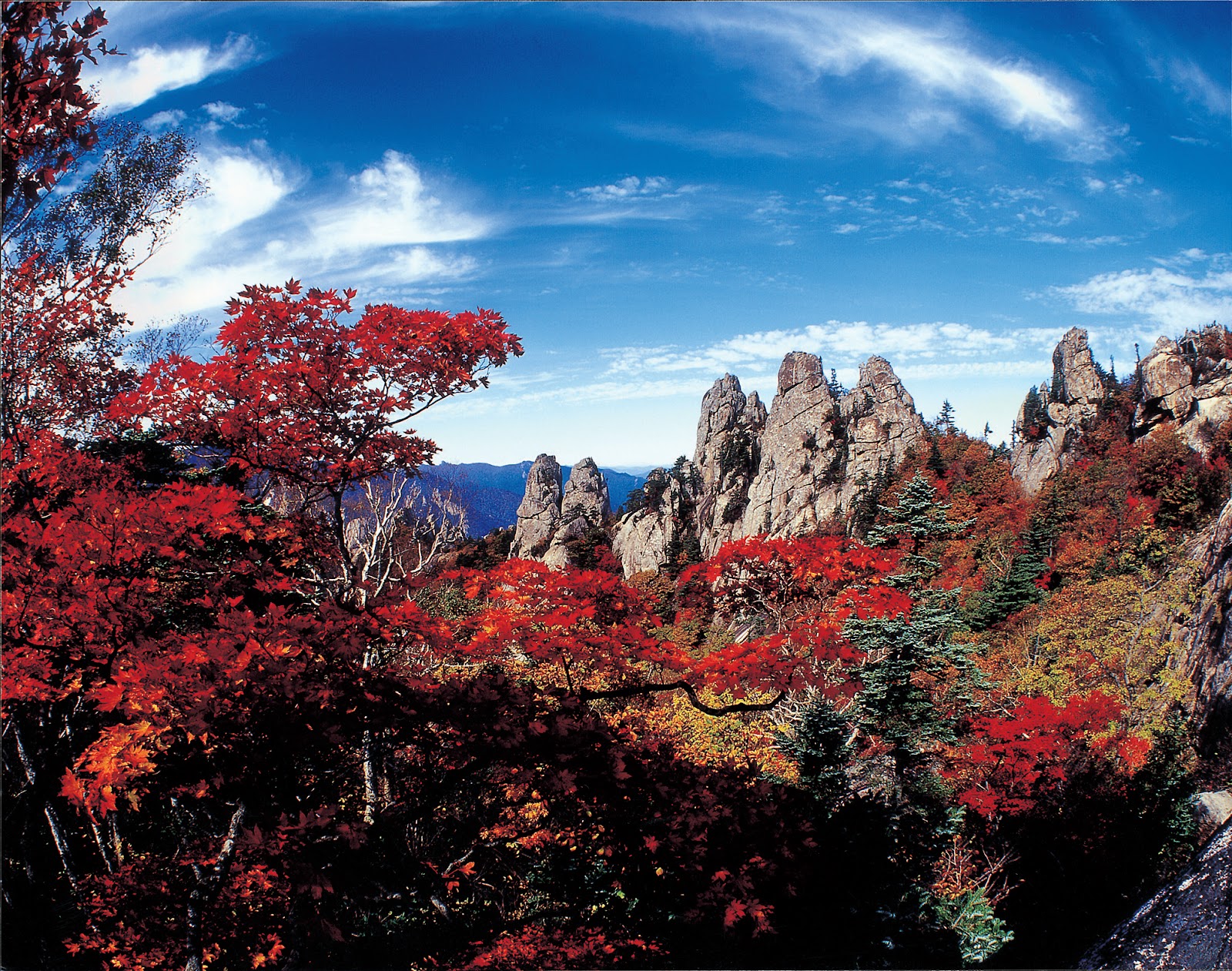 首爾賞楓景點推薦 #10 雪嶽山國立公園