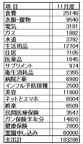 スクリーンショット (374)11gatu支出