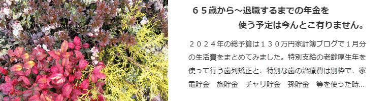 ６５歳から～退職するまでの年金を使う予定は今んとこ有りません