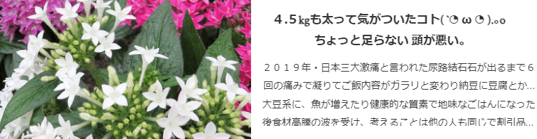 ４・５kgも太って気がついたコト　ちょっと足らない 頭が悪い。