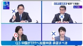 野田聖子　中国　ＴＰＰ