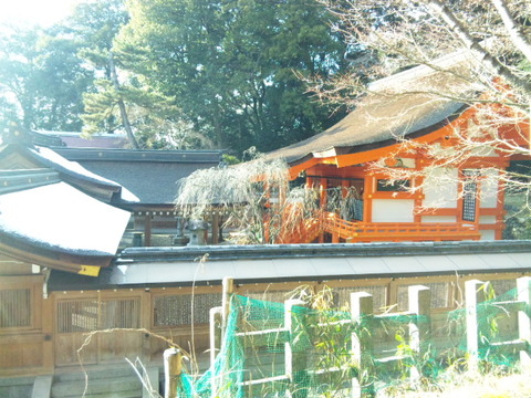 出雲大神宮 本殿