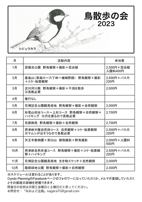 鳥散歩の会年間スケジュールメルマガ