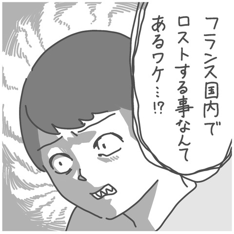 遂に荷物が届かない。宅配便の受け取りができないこともあるんですね。---フランスの宅配事情、郵便事情って実際どうなの？中々受け取り出来ない、日数がかかる、料金が高い、届かない…。様々なサイトでは散々だと書かれていますが、実際そんなことないのでは？パリに移って1か月、日本から荷物を送った実体験を綴っています。