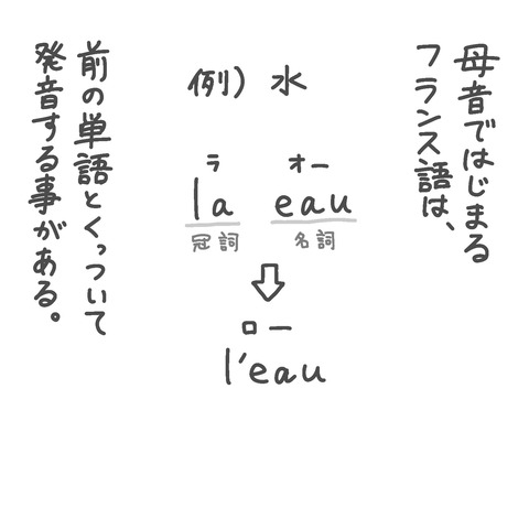 母音で始まるフランス語は、前の単語とくっついて発音することがある。