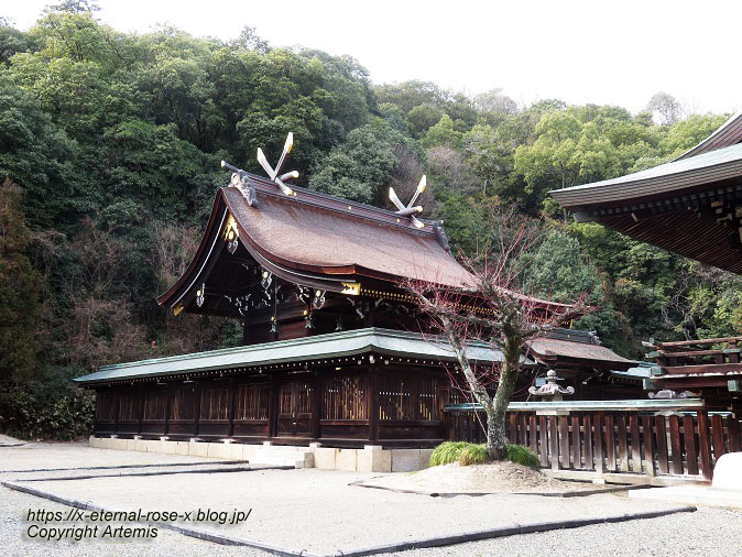 23.2.3 吉備津彦神社  (18)