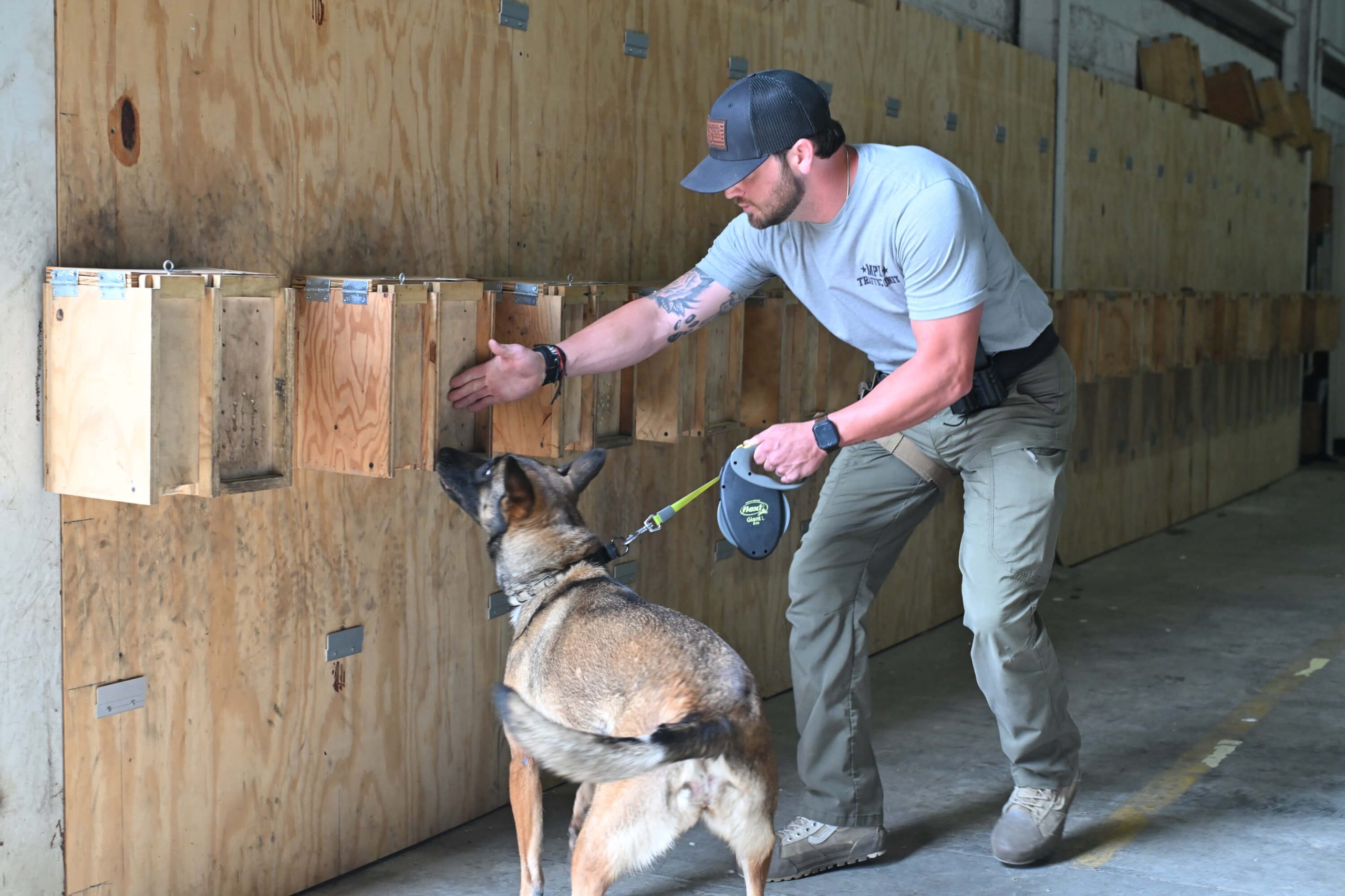 A man shows a German Shepherd by the leash pointing toward wooden boxes on wall