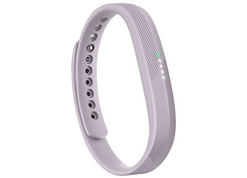 Fitbit Flex 2 Smart Fitness...