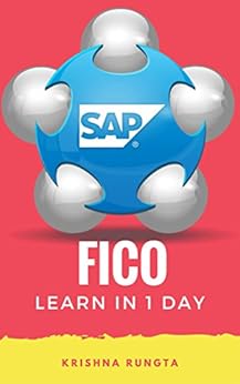 Learn SAP FICO in 1 Day