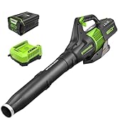 Greenworks 80V (145 MPH / 580 CFM / 75+ Compatible Tools) Cordless Brushless Axial Leaf Blower, 2...