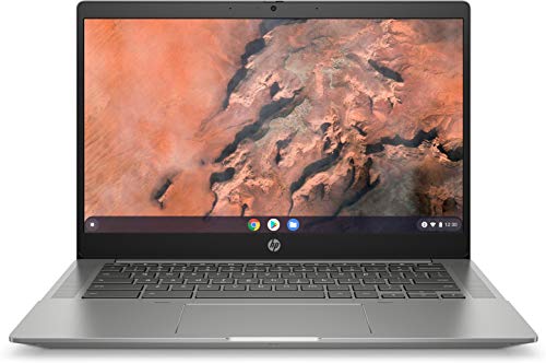 HP Fortis 14 G10 Chromebook