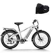 Himiway Zebra/D5 Aktualisierung Ebike 48V 20Ah Offroad-ebike Fette Reifen 26"×4" E-Mountainbike 8...