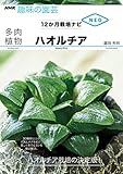 ハオルチア ＮＨＫ趣味の園芸　１２か月栽培ナビNEO (ＮＨＫ出版新書)