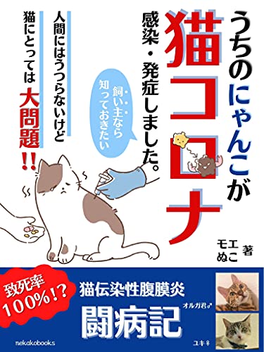 うちのにゃんこが猫コロナ感染・発症しました【致死率１００％！？猫伝染性腹膜炎闘病記】人間にはうつらないけど猫にとっては大問題！！