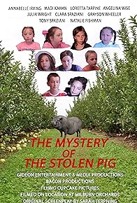 Primary photo for The Mystery of the Stolen Pig