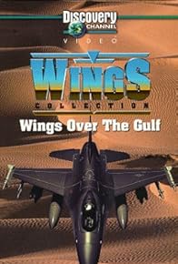 Primary photo for Wings Over the Gulf