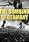 The Bombing of Germany's primary photo