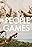 The People's Games