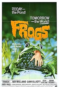 Primary photo for Frogs