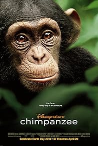 Primary photo for Chimpanzee