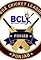 Box Cricket League - Punjab's primary photo