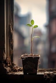 Primary photo for The window box