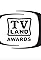 10th Annual TV Land Awards's primary photo