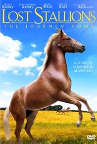 Primary photo for Lost Stallions: The Journey Home