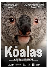 Primary photo for The Koalas