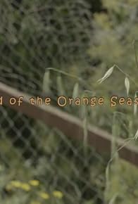 Primary photo for End of the Orange Season