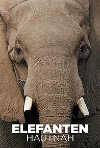 Primary photo for Elephants Up Close