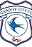 Cardiff City F.C.'s primary photo