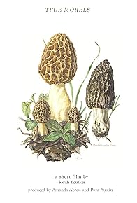 Primary photo for True Morels