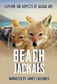 Primary photo for Beach Jackals