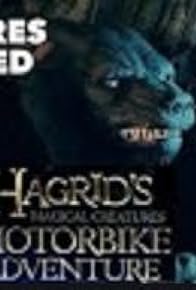 Primary photo for Hagrid's Magical Creatures Motorbike Adventure - pre-show