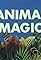 Animal Magic's primary photo