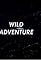 Wild Adventure's primary photo