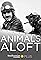 Animals Aloft's primary photo