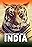 Destination Wild: India