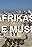 Afrikas neue Museen