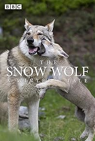 Primary photo for The Snow Wolf: A Winter's Tale