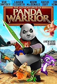 Primary photo for The Adventures of Panda Warrior